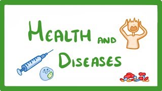 Foot and Mouth Disease Vaccination Overview [upl. by Eugine]