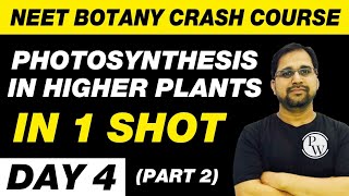 Photosynthesis in Higher Plants in 1 Shot Part 2  Botany in 30 Days  Day 4  UMEED [upl. by Egiaf]