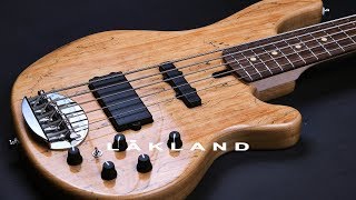 Lakland Skyline 55 02 Deluxe Spalted Maple Bass Demo [upl. by Hgielhsa]