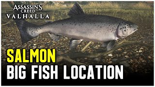 Assassins Creed Valhalla  Big Salmon Location [upl. by Sonya]