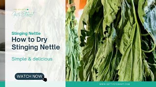 How to Dry Stinging Nettle [upl. by Blackstock]