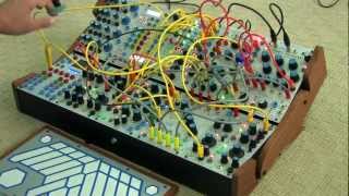 Small Buchla [upl. by Joellen]