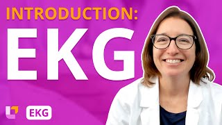 EKG Introduction EKG Interpretation for Nursing Students  Level Up RN [upl. by Jorgensen]