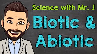 Biotic and Abiotic Factors  Ecosystems [upl. by Ecille]