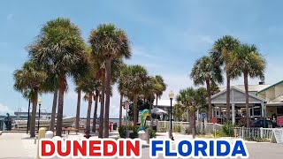 DUNEDIN FLORIDA [upl. by Huberty]