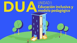 DUA Diseño Universal para el Aprendizaje – Educación inclusiva y modelo pedagógico [upl. by Jeb550]