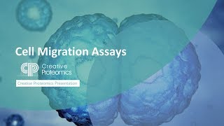 Cell Migration Assay [upl. by Sam865]