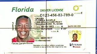 How long do you have to switch to a Florida license tag after moving to Sunshine State [upl. by Engeddi]