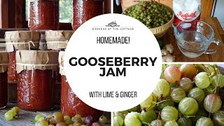 HOMEMADE GOOSEBERRY JAM  Delicious amp Flavourful [upl. by Elnar]