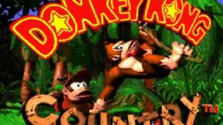 Donkey Kong Country Music SNES  Jungle Groove [upl. by Negyam]