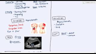 Key Biliary Tract  Cholestatic Diseases amp Labs Explained [upl. by Sedlik]