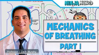 Mechanical Ventilation  Most COMPREHENSIVE Explanation 🤫 [upl. by Zel]