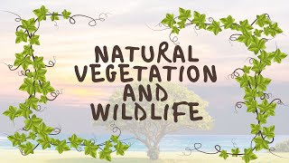 NATURAL VEGETATION AND WILDLIFE  CLASS 9  GEOGRAPHY  CHAPTER 5 [upl. by Orlando]