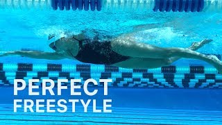 How To Swim Freestyle With Perfect Technique [upl. by Kcorb]