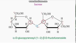 Identifying anomeric carbons in sugars [upl. by Jamesy]