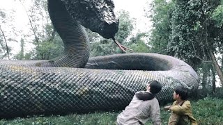 【高光合集】远古生物复活，男孩在荒岛冒险竟见证龙蛇之战！ 【大蛇3龙蛇之战 Snake3】  惊悚冒险  经典大本营 [upl. by Yracaz]