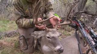 Early Morning Crossbow Hunt for Whitetail [upl. by Ortrude]