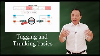 IEEE 802 1Q Tagging and Trunking 101 [upl. by Nykal]