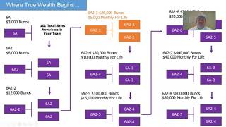 Enagic Business Compensation plan 2022 [upl. by Schweitzer]