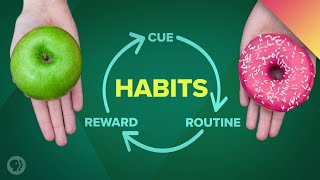 How Habits Can Change Your Life and Your Brain [upl. by Filmer]