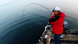 Salmon amp Lake Trout Jigging Technique [upl. by Ardeahp]