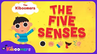 Five Senses  The Kiboomers Kids Learning Songs For Circle Time  Body Parts Song [upl. by Nylyahs]