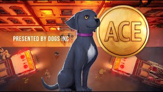 ACE  A Short Animated Film by Dogs Inc [upl. by Einomrah223]