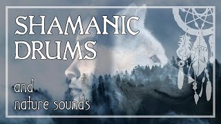 SHAMANIC DRUMS • Deep Forest Sounds • Journey for Trance amp Meditation • Activate Your Higher Mind [upl. by Naujyt]