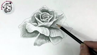 Como Dibujar una Rosa Realista con Un solo Lapiz [upl. by Corabelle146]