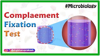 Complement Fixation test  Microbiology animations [upl. by Loveridge473]