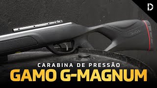 REVIEW TESTE CARABINA DE PRESSÃO GAMO GMAGNUM 1250 IGT 55MM [upl. by Jean-Claude]