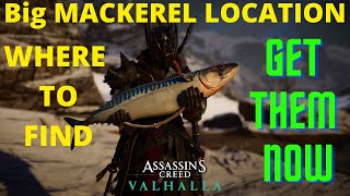 Big Mackerel Location In Assassins Creed Valhalla [upl. by Elysee]