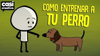 Cómo entrenar a tu perro  Casi Creativo [upl. by Thoma]