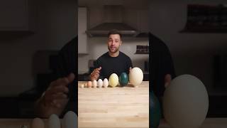 I Cooked the World’s CRAZIEST Eggs [upl. by Benedikta]