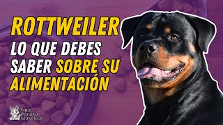 ALIMENTACIÓN DEL ROTTWEILER [upl. by Leribag]