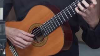 Classical Guitar Lesson 1 [upl. by Goodrich]