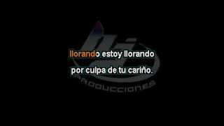 karaoke llorando estoy llorando campeche show [upl. by Alaecim]