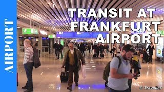 TRANSIT WALK AT FRANKFURT Airport FRA Terminal 1  Connection Flight Transfer Arriving amp Departing [upl. by Breed]