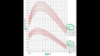 Asthma S2 Part 3 Peak Flow Readings [upl. by Joash34]