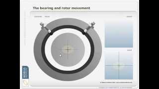 Vibration Analysis  Orbit PlotsCenterline Diagram  Mobius Institute [upl. by Suhpesoj894]