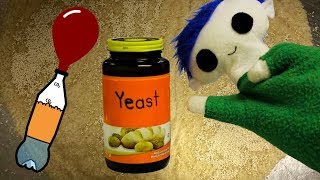 Nutritional Yeast  Health Benefits amp Precautions For Some People [upl. by Enyehc]