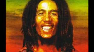 Bob Marley  Rastaman Vibration [upl. by Ssilem]