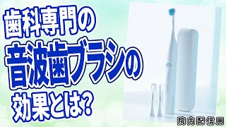 【クラプロックス】電動歯ブラシの使い方 [upl. by Laise]