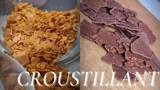 croustillant Chocolat praliné feuilletine [upl. by Eilagam]