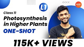 Photosynthesis in Higher Plants ONESHOT  CBSE Biology Class 11  CBSENEET Exam  Amrit Sir [upl. by Ydac]