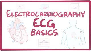 Electrocardiography ECGEKG  basics [upl. by Dunc]