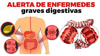 9 enfermedades del SISTEMA DIGESTIVO comunes que deberías conocer [upl. by Mariand]