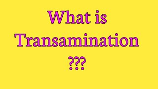 Transamination  Mechanism and examples of transamination [upl. by Deirdra]