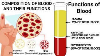 Composition of blood and their functions Functions of blood in hindi [upl. by Elka]