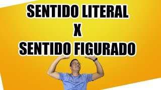 SENTIDO LITERAL X SENTIDO FIGURADO [upl. by Tomas71]